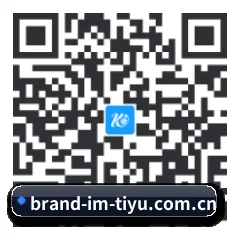 iOS 苹果生态原生版 二维码